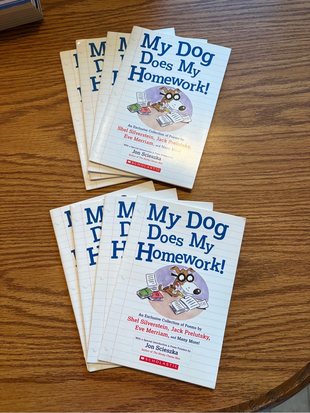 'My Dog Does My Homework!' Book Set